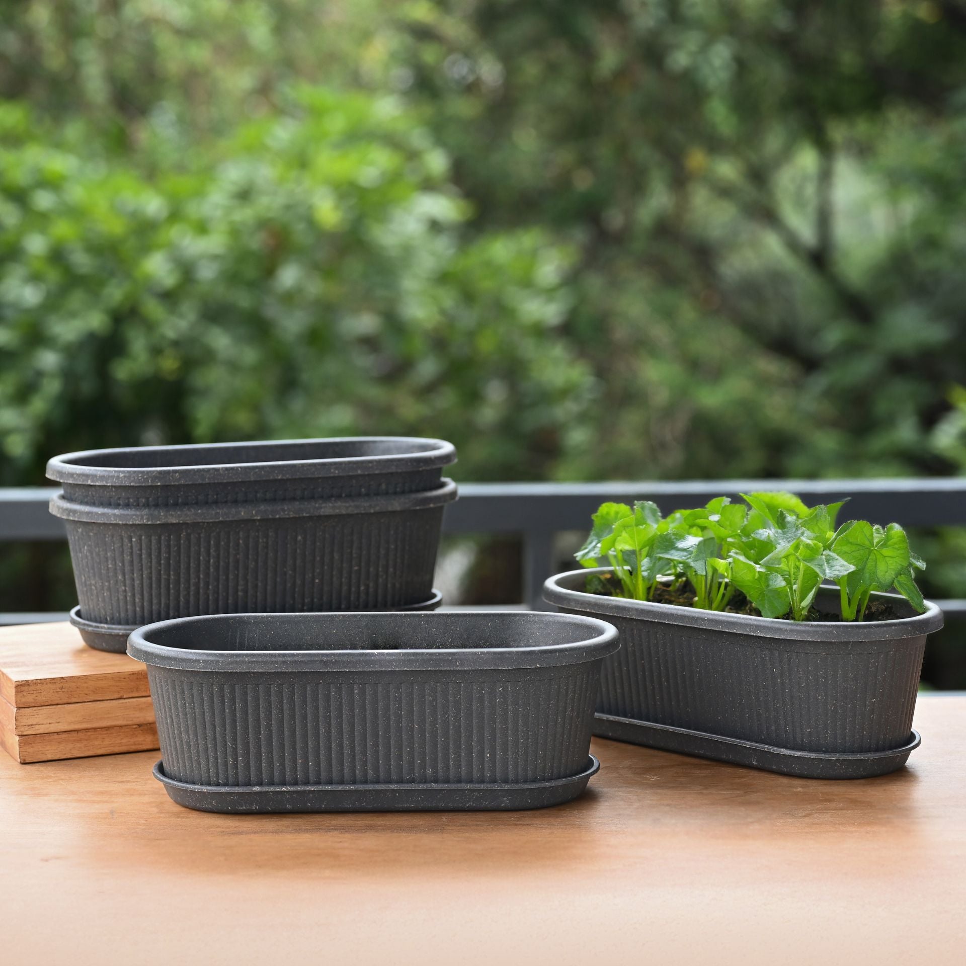 Earth-Friendly Planters Regalia 12 Inch set of 4 | Bamboo Based Pots and Planters