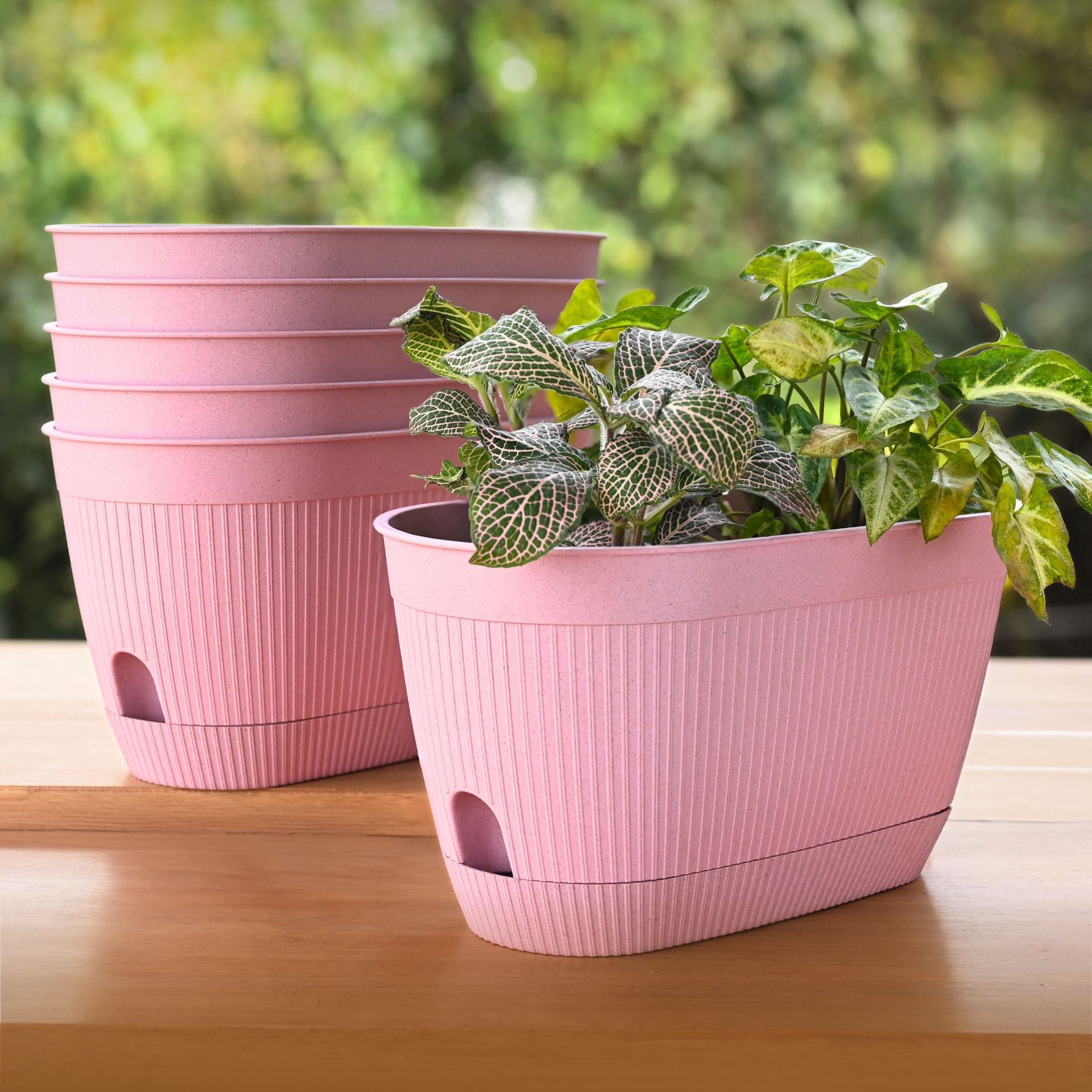 Eha Earth Friendly Eva 11.5 inch Pack of 6 | Self Watering Pots for Plants