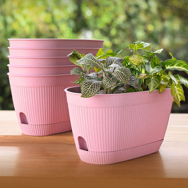 Eha Earth Friendly Eva 11.5 inch Pack of 6 | Self Watering Pots for Plants