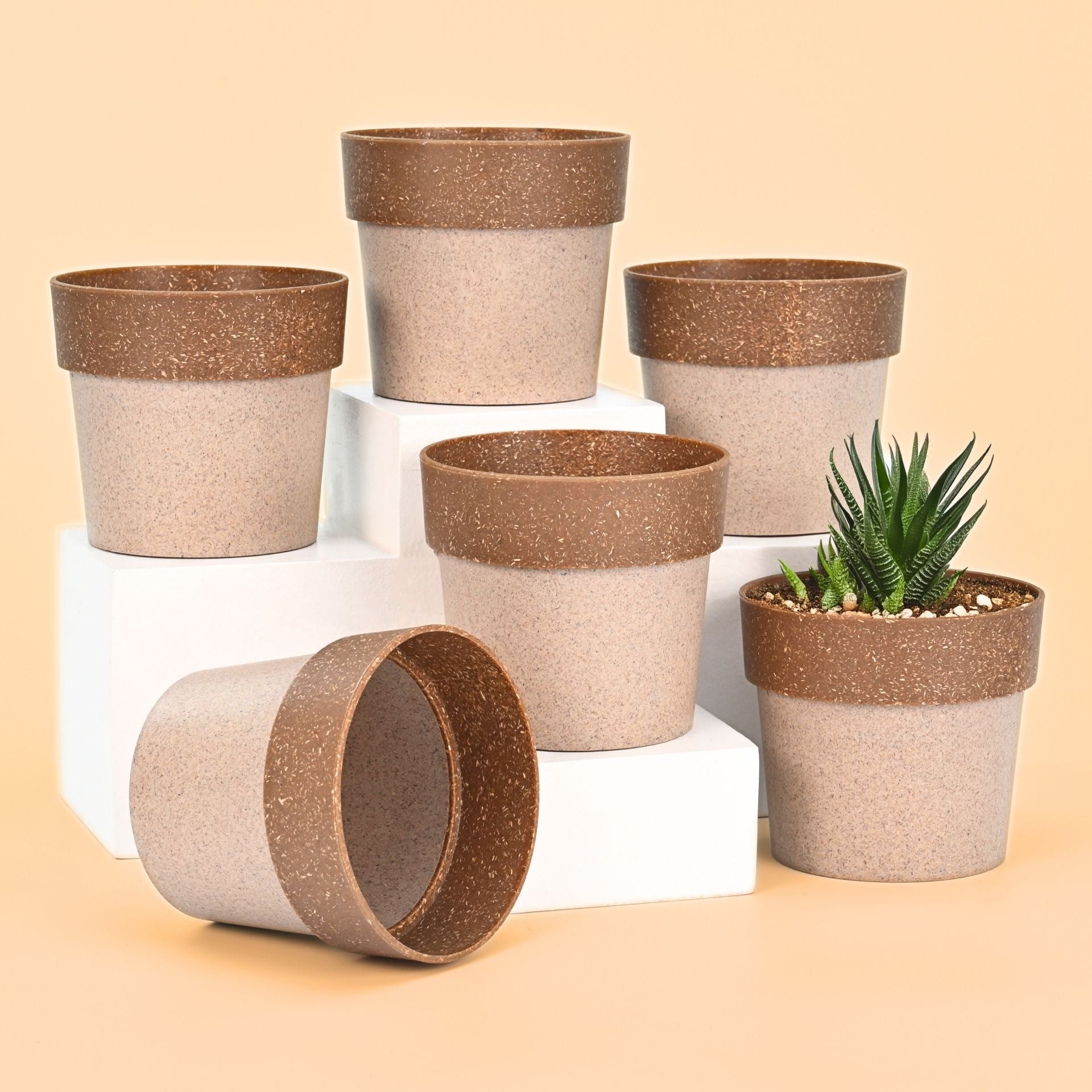 Earth-Friendly Planters EcoPod 4 Inch set of 6 | Bamboo Based Pots and Planters