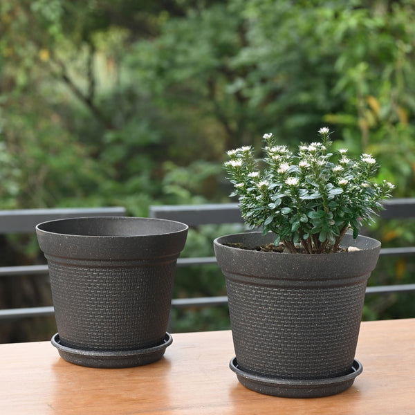 Earth-Friendly Planters Aura 8 Inch set of 2 | Bamboo Based Pots and Planters