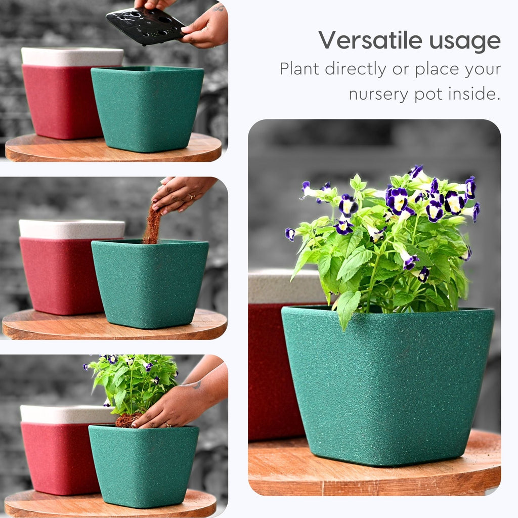 Earth Friendly Daisy Self Watering image 7