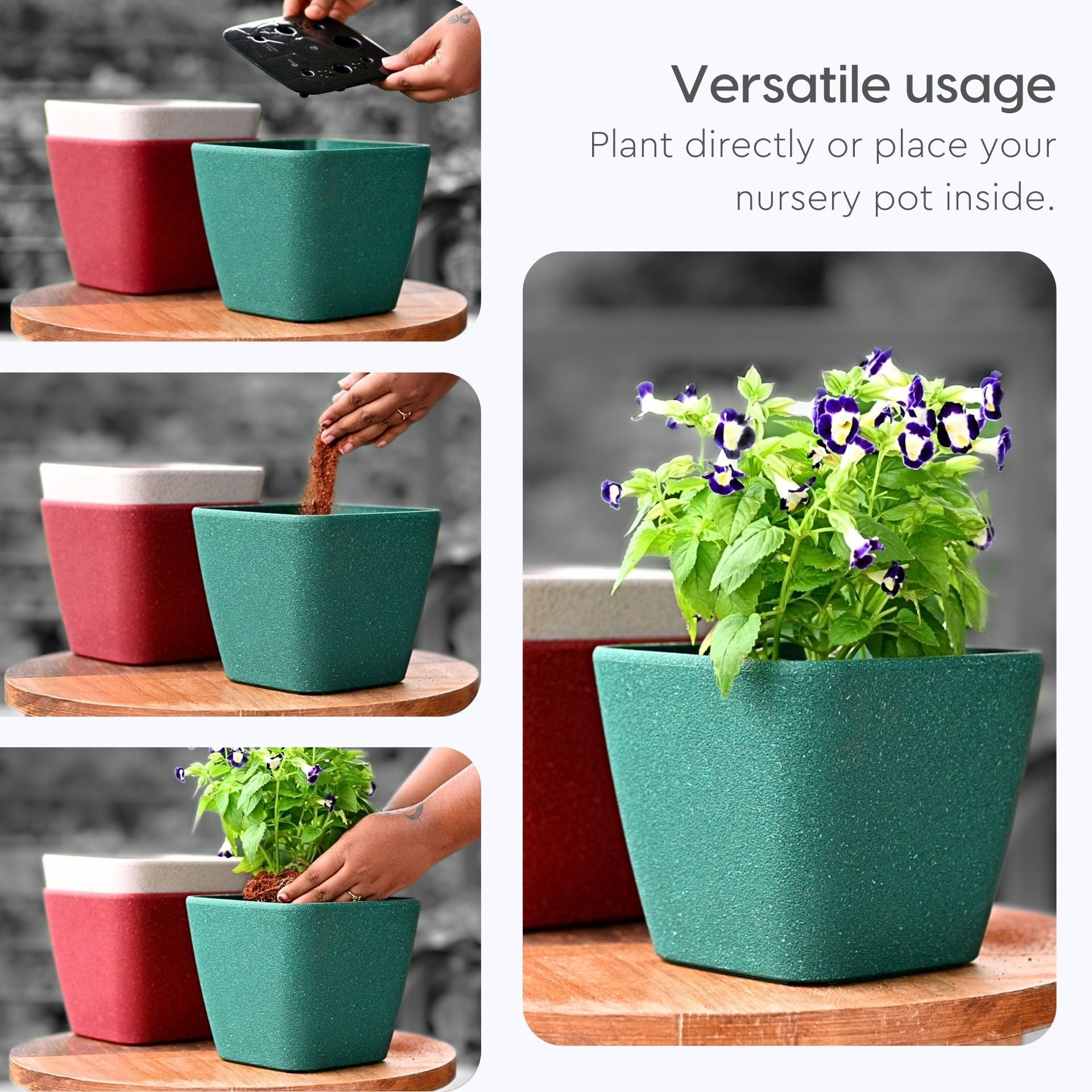 Earth Friendly Daisy Self Watering image 7