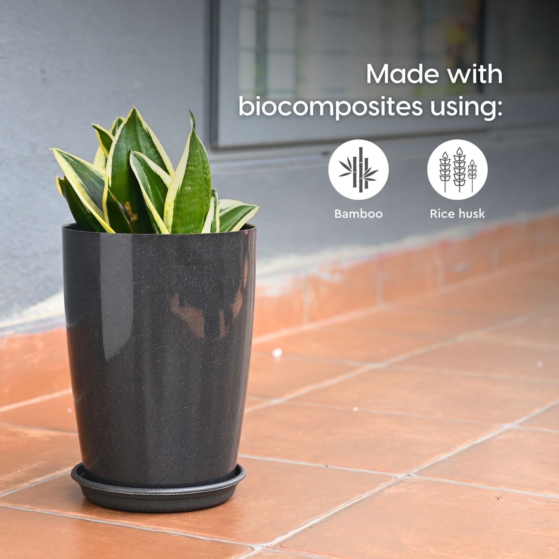 Earth Friendly Cypress 10 4 image 3