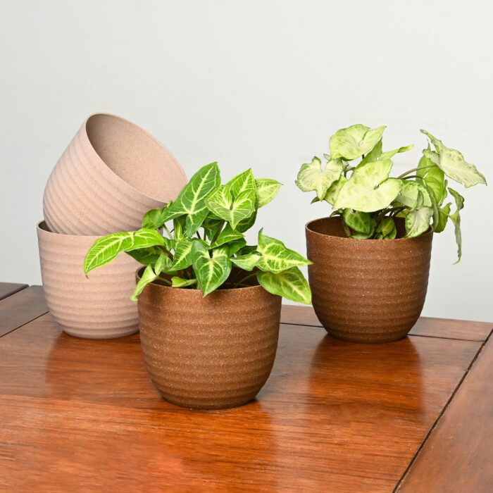 Earth Friendly Planters Verona 5 image 1