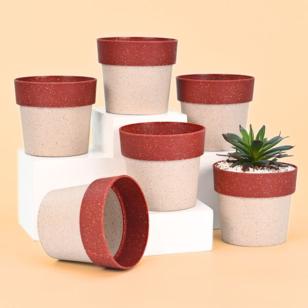 Earth-Friendly Planters EcoPod 4 Inch set of 6 | Bamboo Based Pots and Planters
