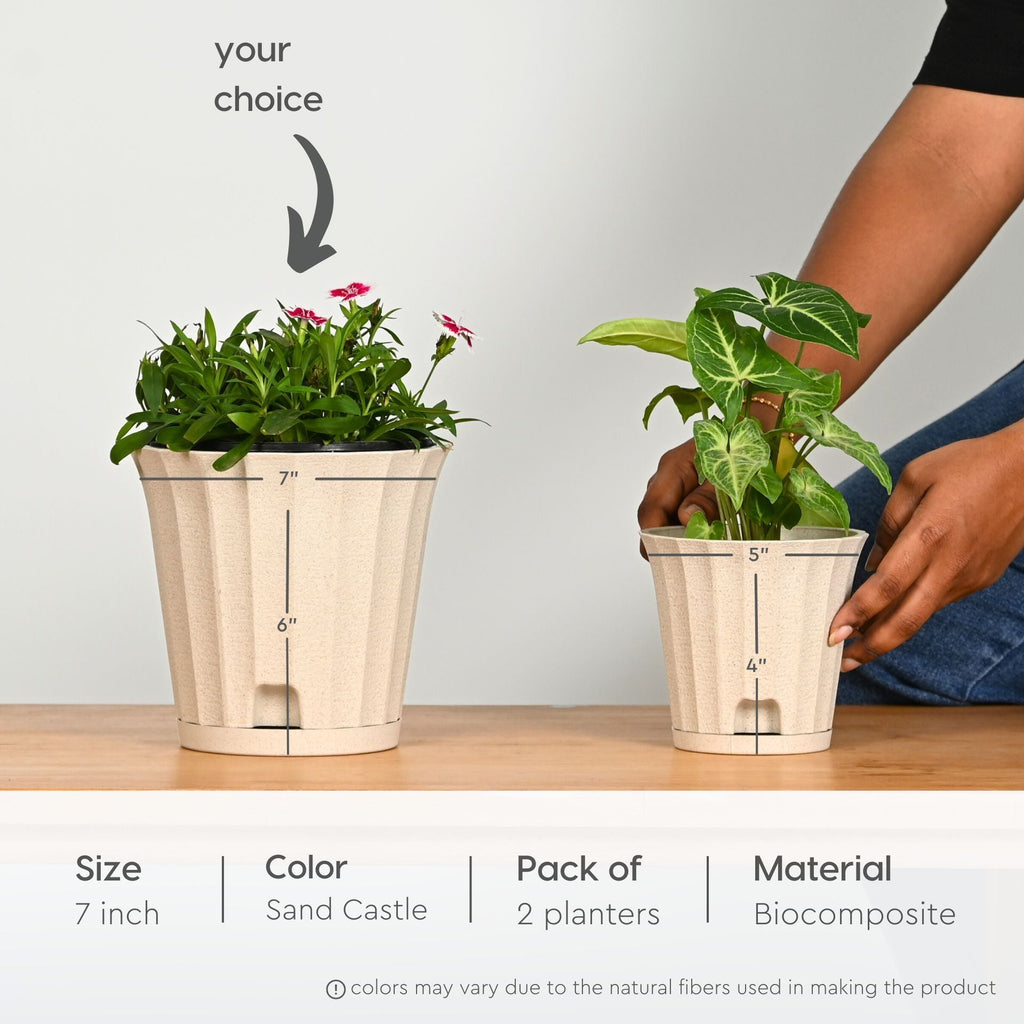 Earth Friendly Ace 7 inch image 2