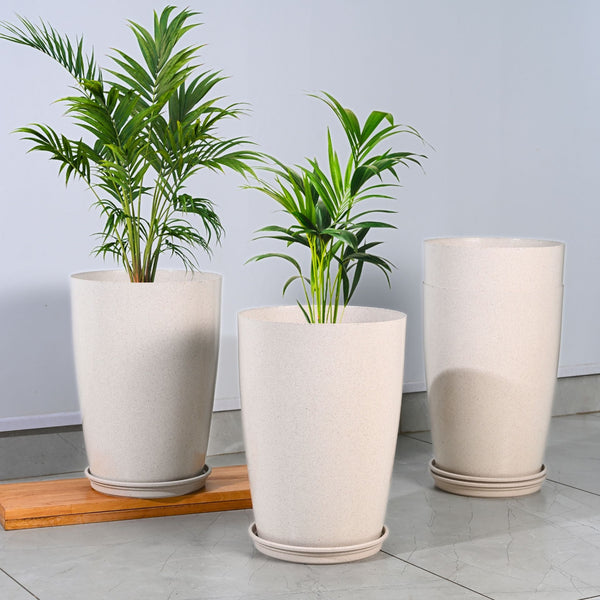 Earth Friendly Cypress 16″ | Set of 4