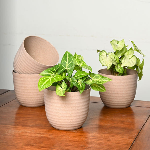 Earth-Friendly Planters Verona 5 Inch set of 4 | Bamboo Based Pots and Planters
