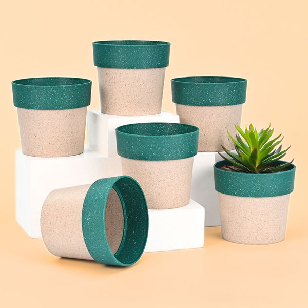Earth-Friendly Planters EcoPod 4 Inch set of 6 | Bamboo Based Pots and Planters