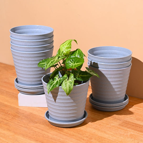 Earth Friendly Planters Linea 5.5 Inch | Set of 8