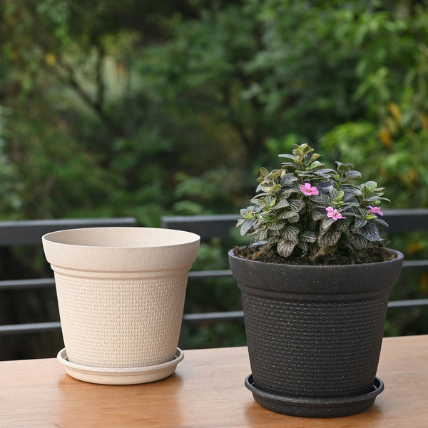 Earth-Friendly Planters Aura 8 Inch set of 2 | Bamboo Based Pots and Planters