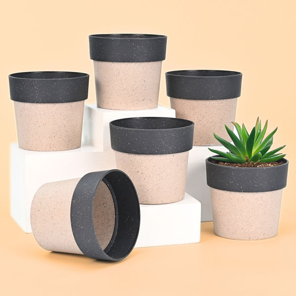 Earth-Friendly Planters EcoPod 4 Inch set of 6 | Bamboo Based Pots and Planters