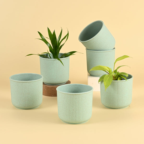 Earth Friendly Statement Pot 4 Inch Planters | Set of 6