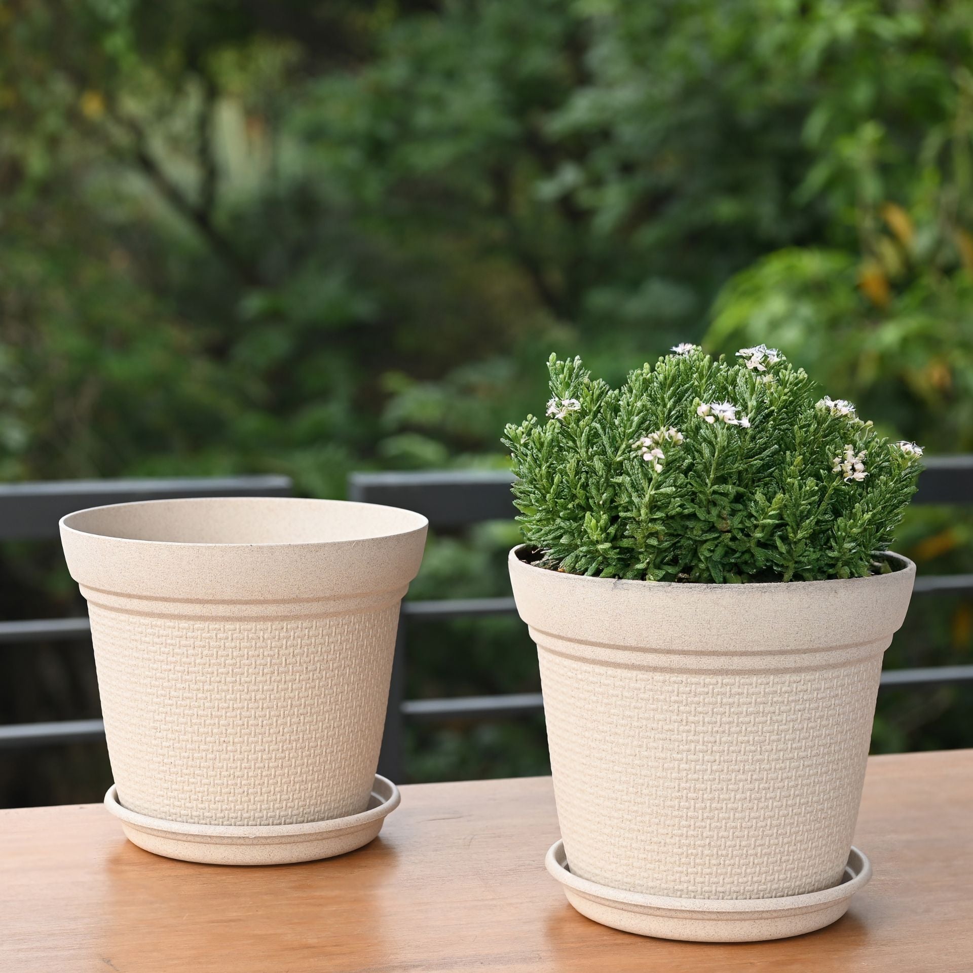 Earth-Friendly Planters Aura 8 Inch set of 2 | Bamboo Based Pots and Planters
