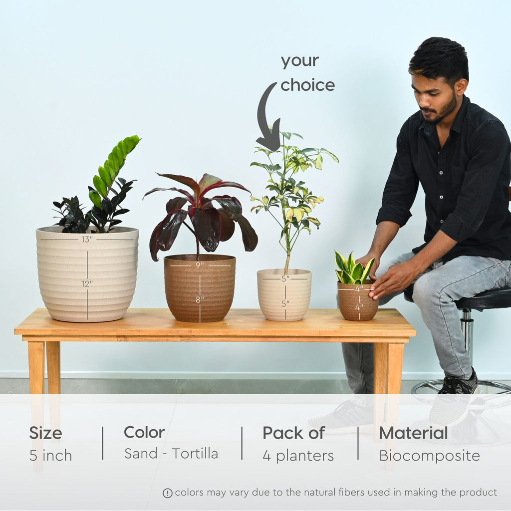 Earth Friendly Planters Verona 5 image 2