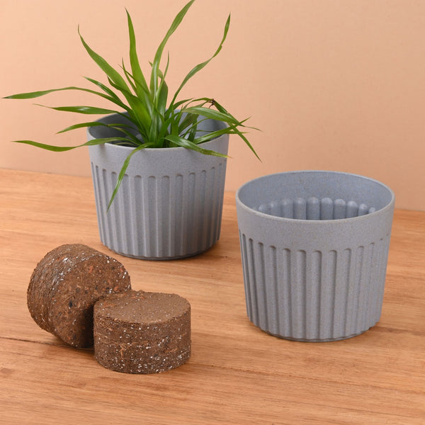 Earth Friendly Romano 6 inch Planters for Home Decor with Growmix | Set of 2