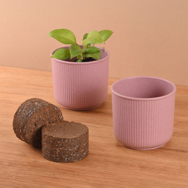 Earth Friendly Statement Pot 4 Inch Pots and Planters with Growmix | Set of 2