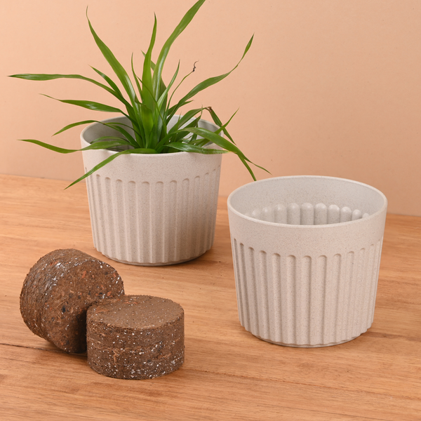 Earth Friendly Romano 6 inch Planters for Home Decor with Growmix | Set of 2