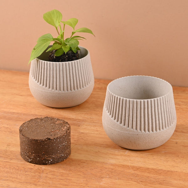 Earth Friendly Oreo 4 inch Small pots for Indoor Plants with 1 Growmix | Pack of 2
