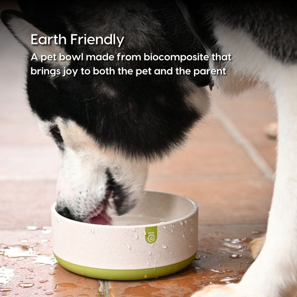 EcoBlend Antiskid Pet Bowl | Set of 2