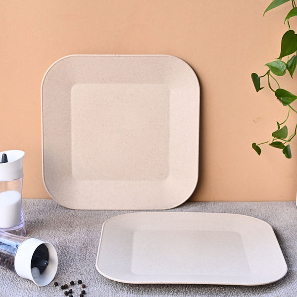 Picnic Plate 9 inch set of 2 | Earth friendly Unbreakable Plates Made with Bamboo Fibers & Rice Husk Fiber