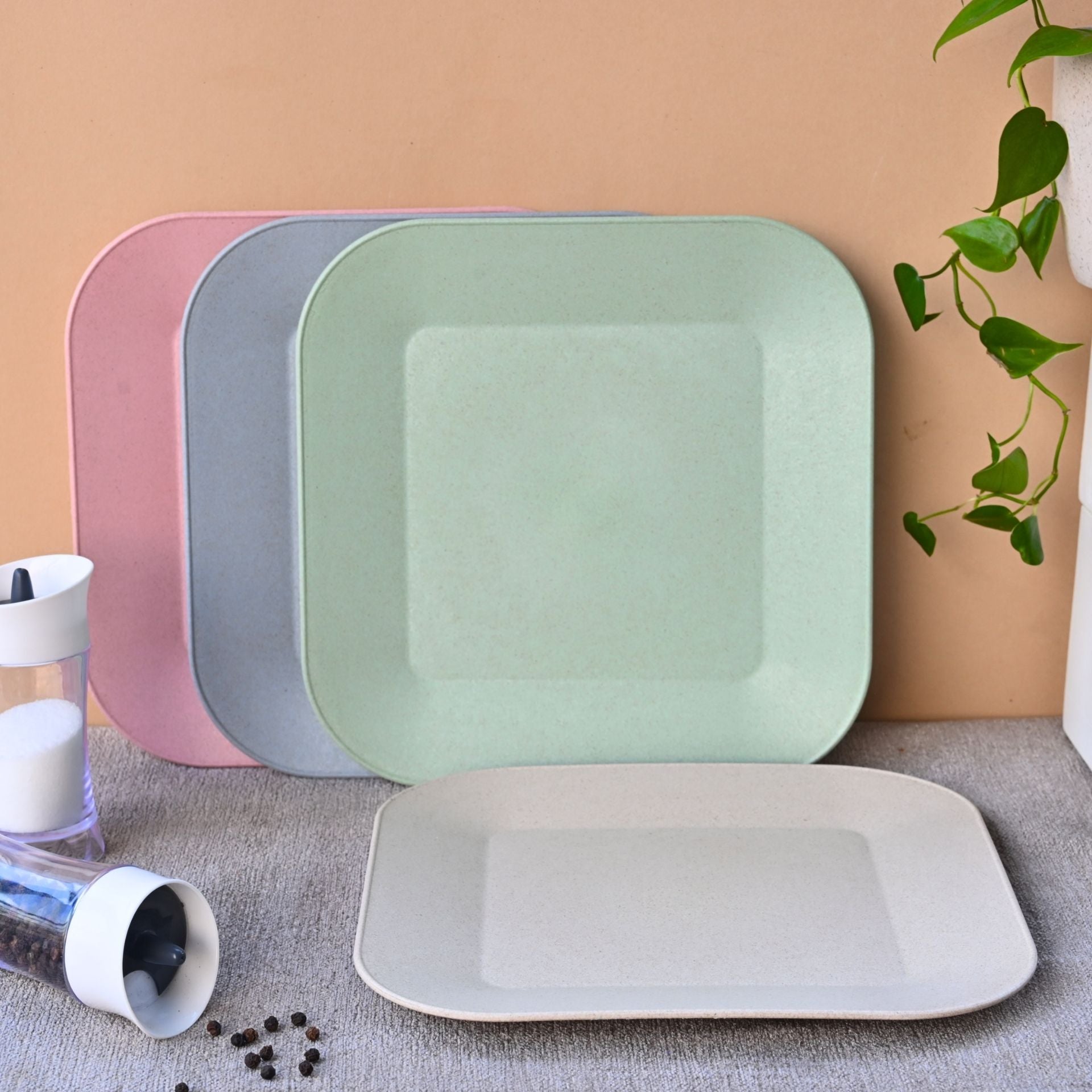 Picnic Plate 9 inch set of 4 | Earth friendly Unbreakable Plates Made with Bamboo Fibers & Rice Husk Fiber