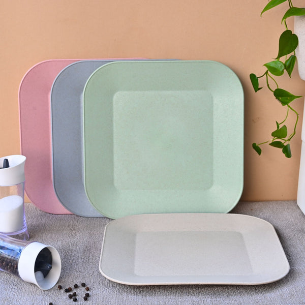 Picnic Plate 9 inch set of 4 | Earth friendly Unbreakable Plates Made with Bamboo Fibers & Rice Husk Fiber