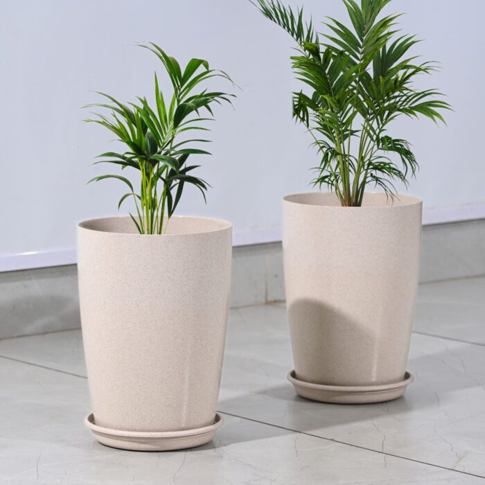 Earth Friendly Cypress 10 2 image 1