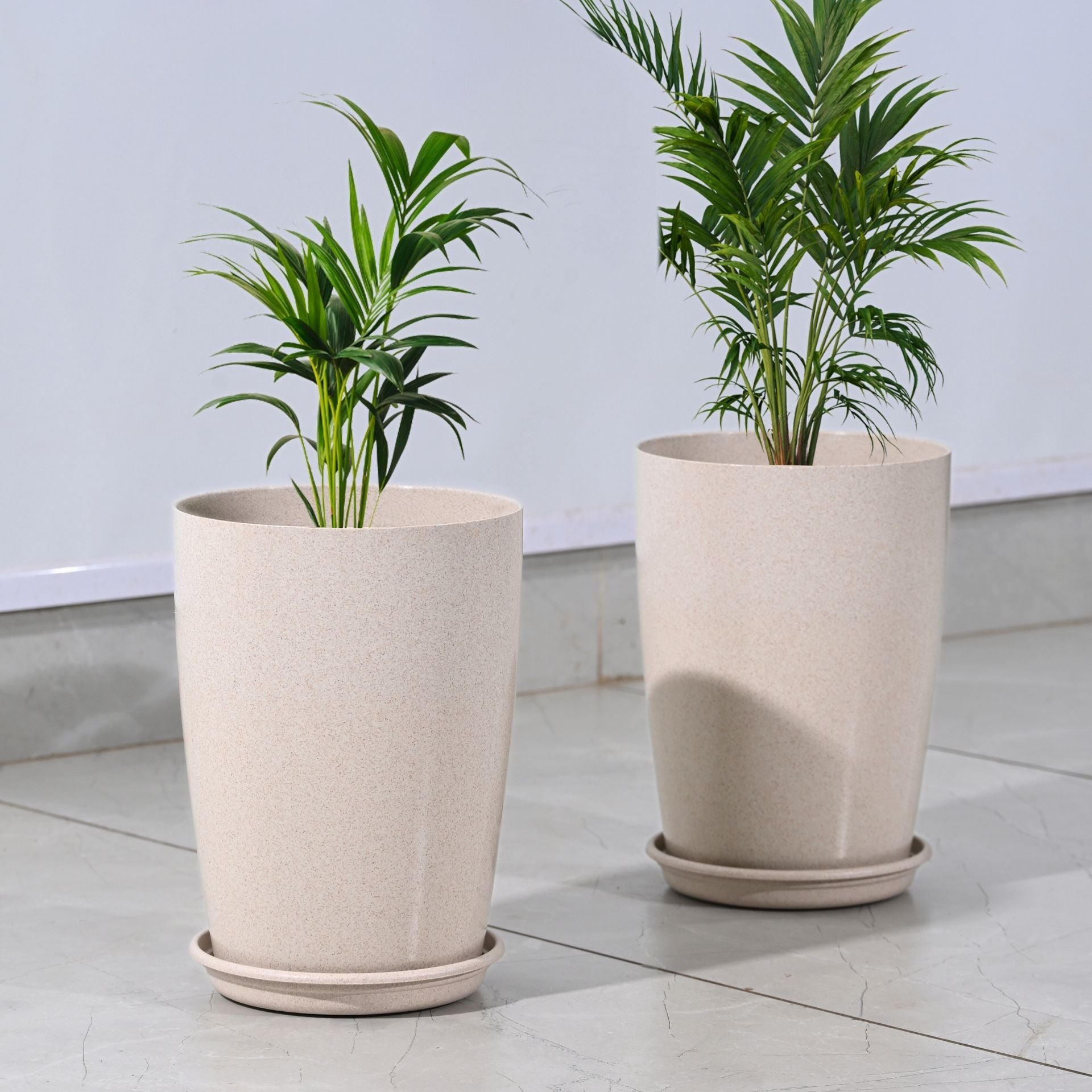 Earth Friendly Cypress 10″ | Set of 2