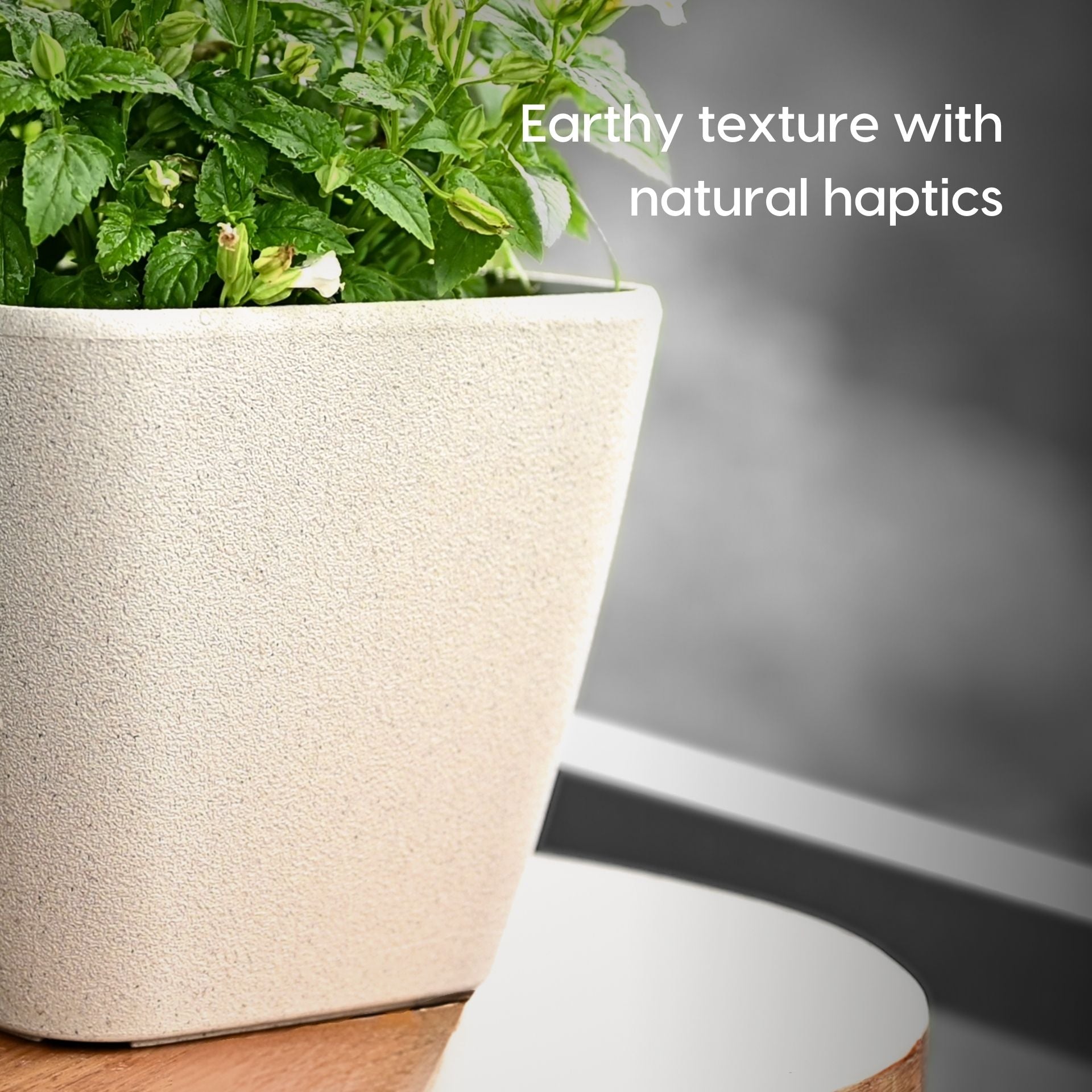 Earth Friendly Daisy Self Watering image 4