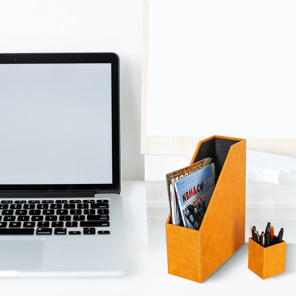 Insolite  Magazine File Holder with Pen Holder