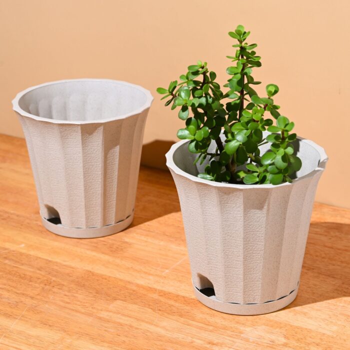 Earth Friendly Ace 7 inch image 1