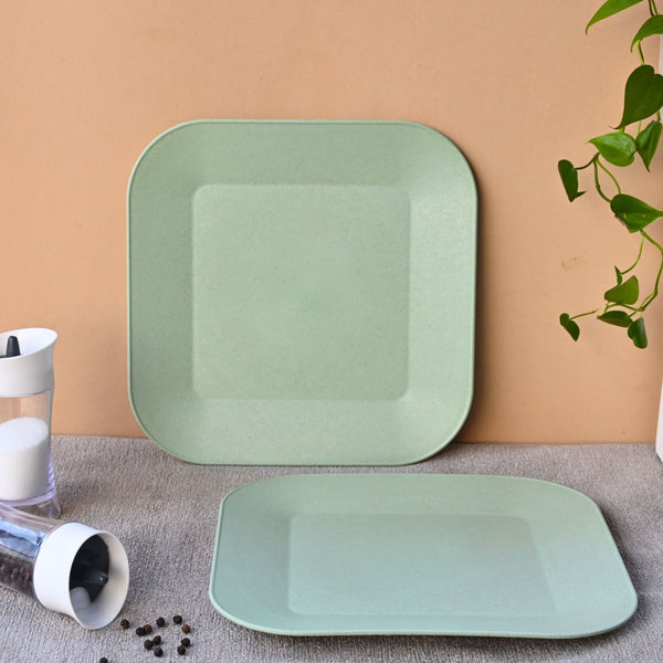 Picnic Plate 9 inch set of 2 | Earth friendly Unbreakable Plates Made with Bamboo Fibers & Rice Husk Fiber