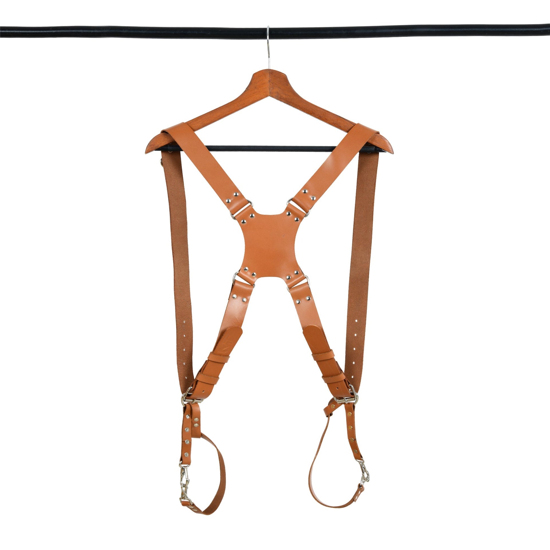 Harness