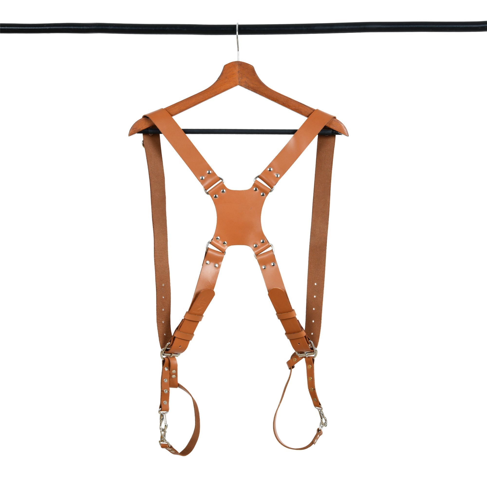 Harness