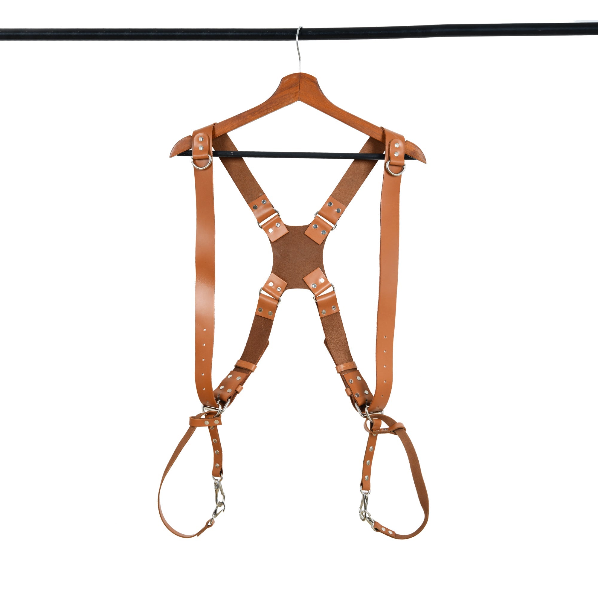 Harness