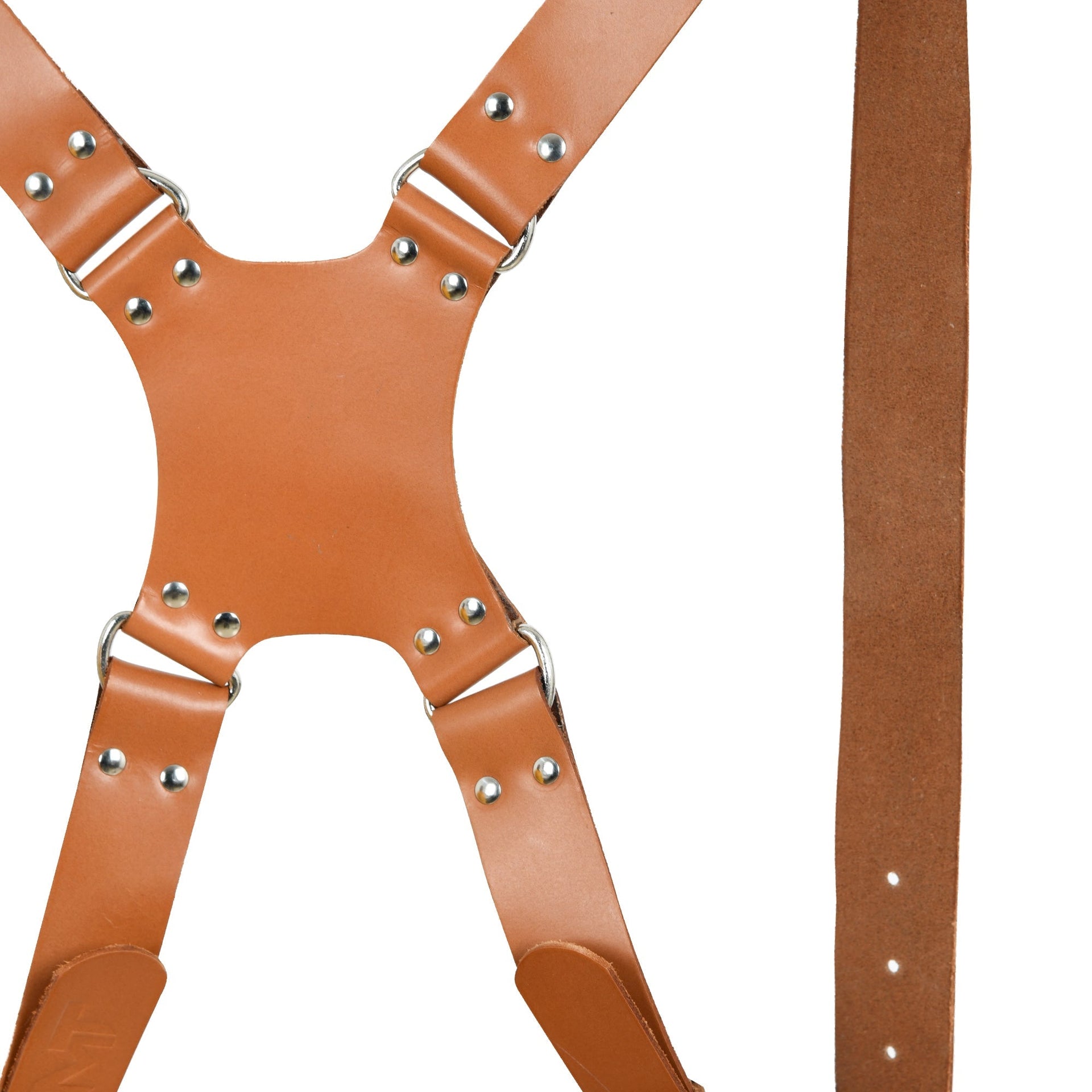 Harness