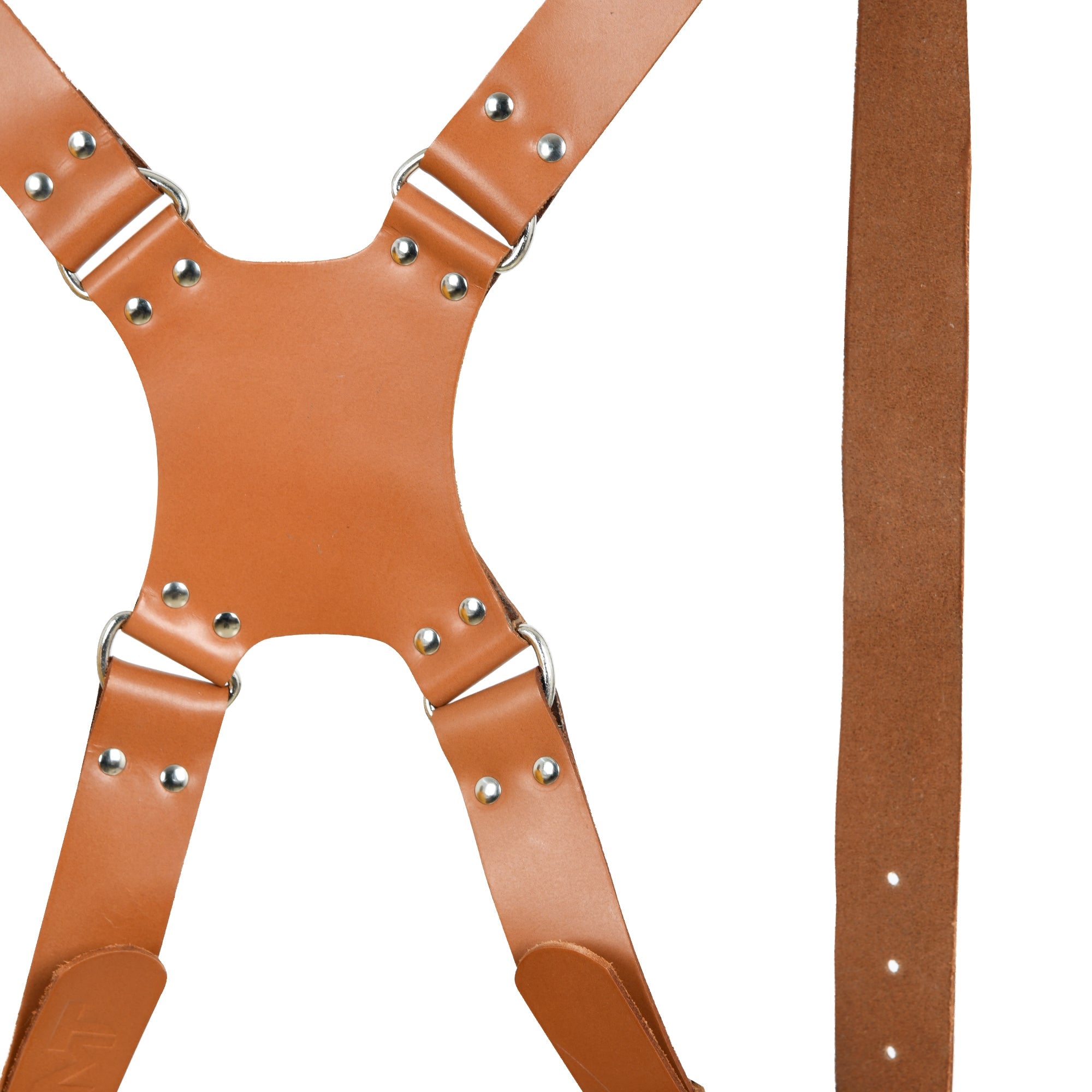 Harness