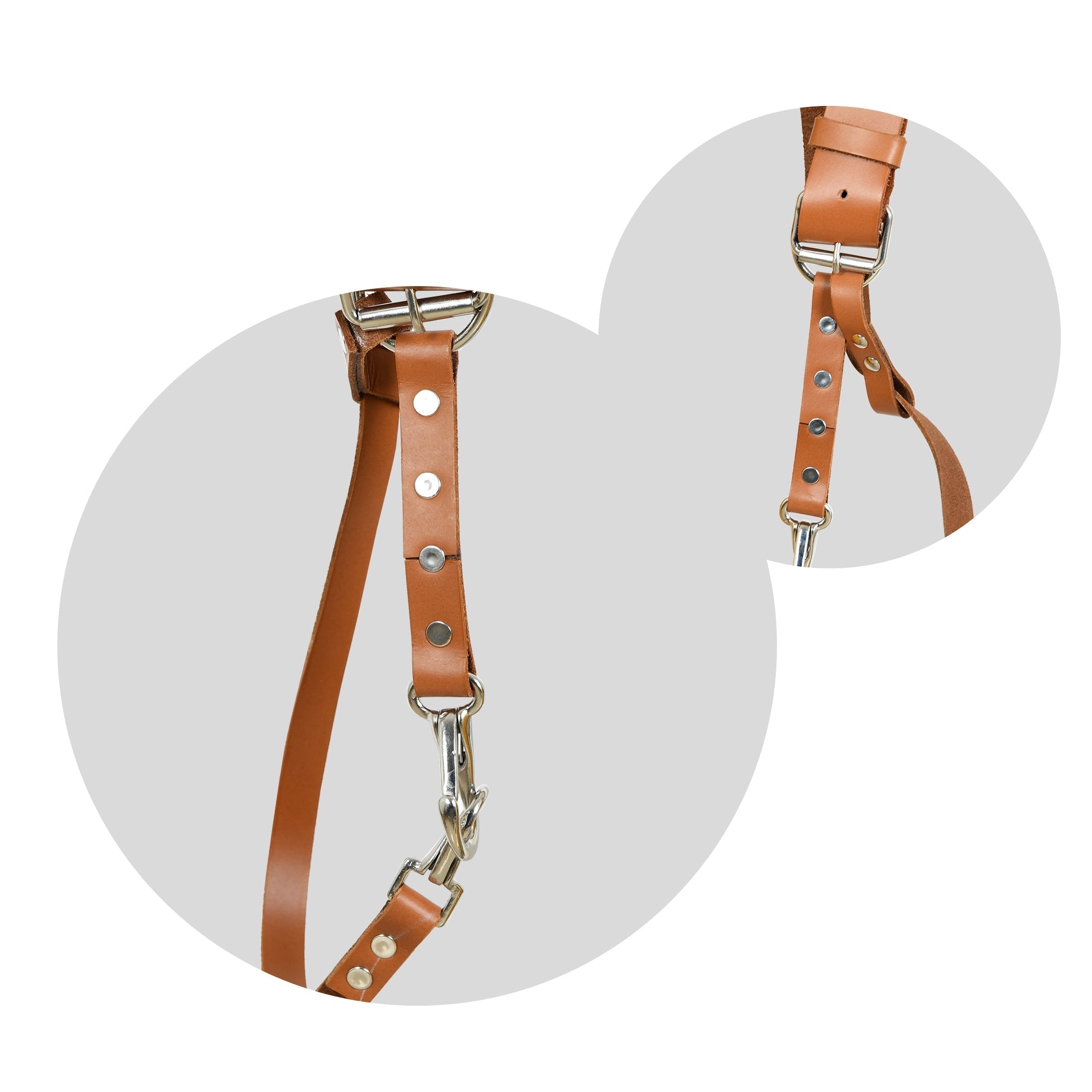 Harness
