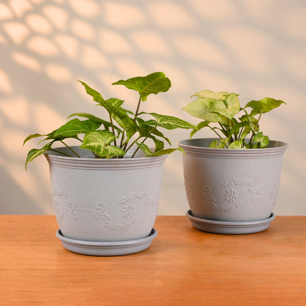 Earth-Friendly Planters Leafy 8 Inch set of 2 | Bamboo Based Pots and Planters with tray