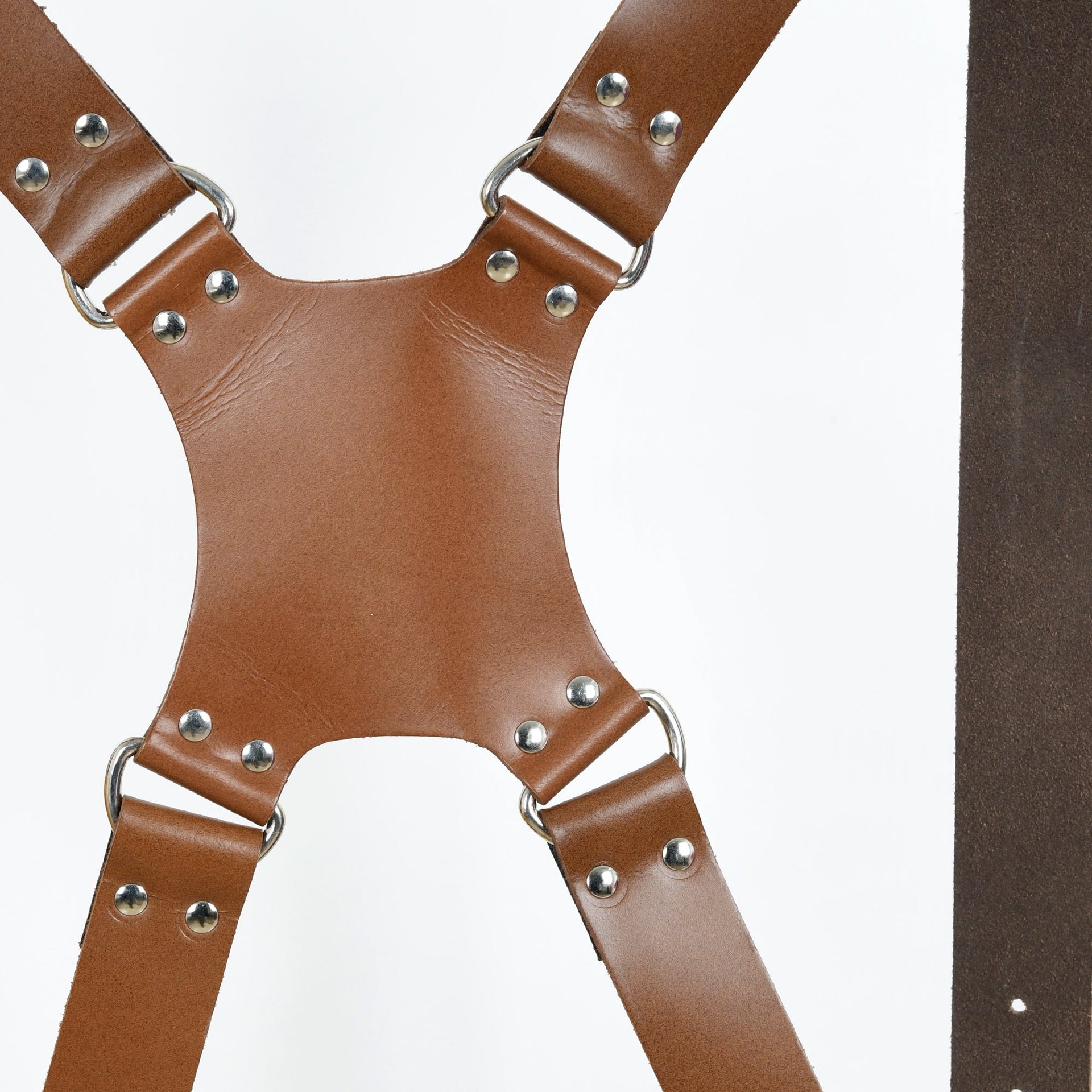 camera harness