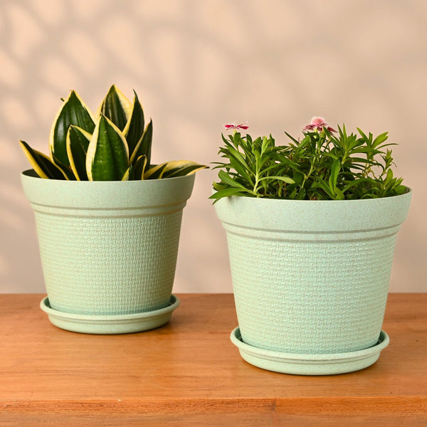 Earth-Friendly Planters Aura 8 Inch set of 2 | Bamboo Based Pots and Planters