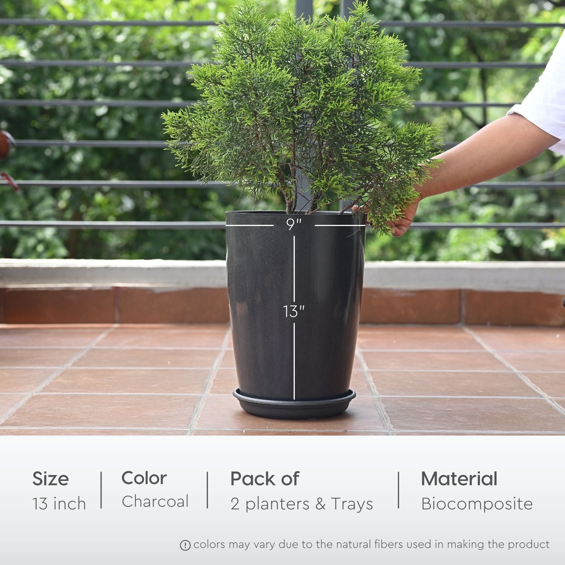 Earth Friendly Cypress 13 2 image 2