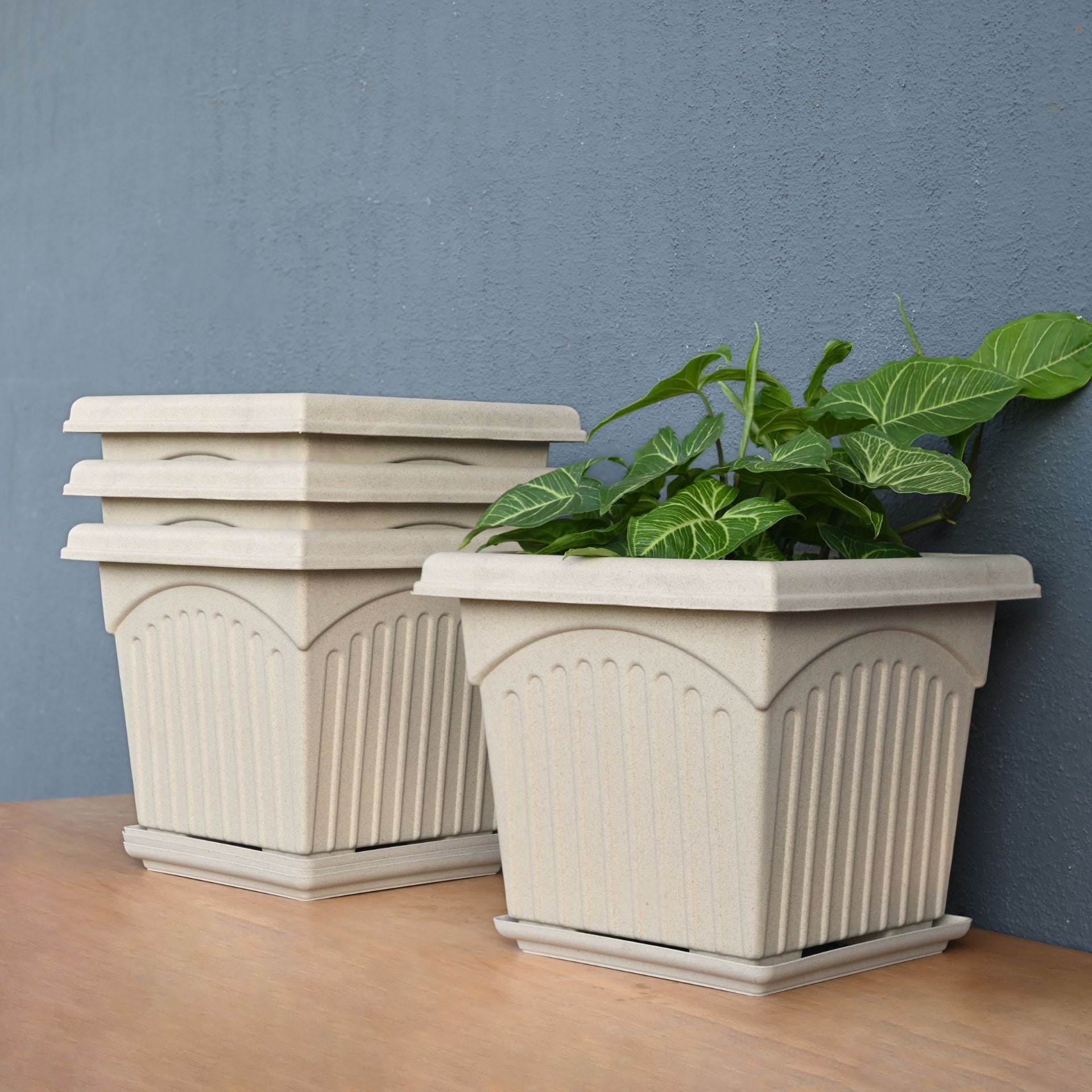 Earth Friendly 12 Archway Planters image 2