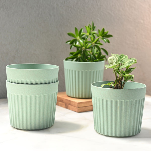 Earth Friendly Romano 6 inch | Set of 4