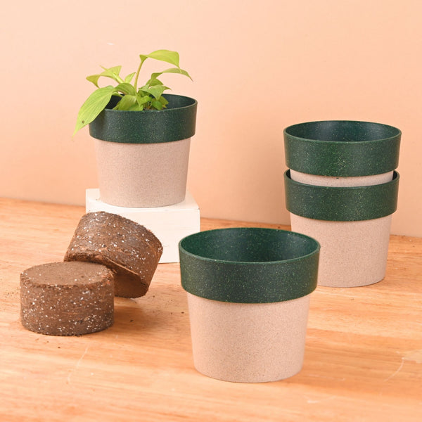 Earth Friendly Ecopod 4 inch Small pots for Indoor Plants with 2 Growmix | Pack of 4