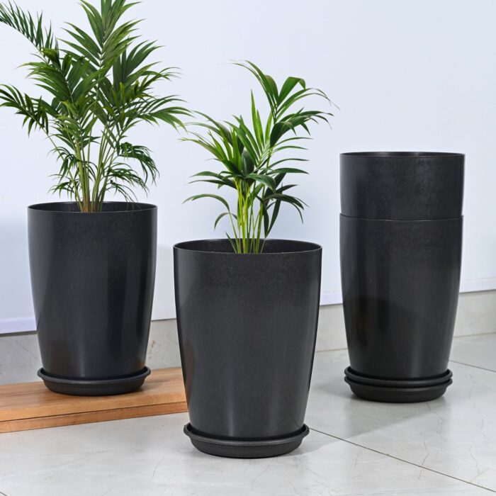 Earth Friendly Cypress 13 4 image 1