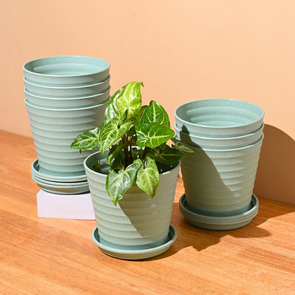 Earth Friendly Planters Linea 5.5 Inch | Set of 8