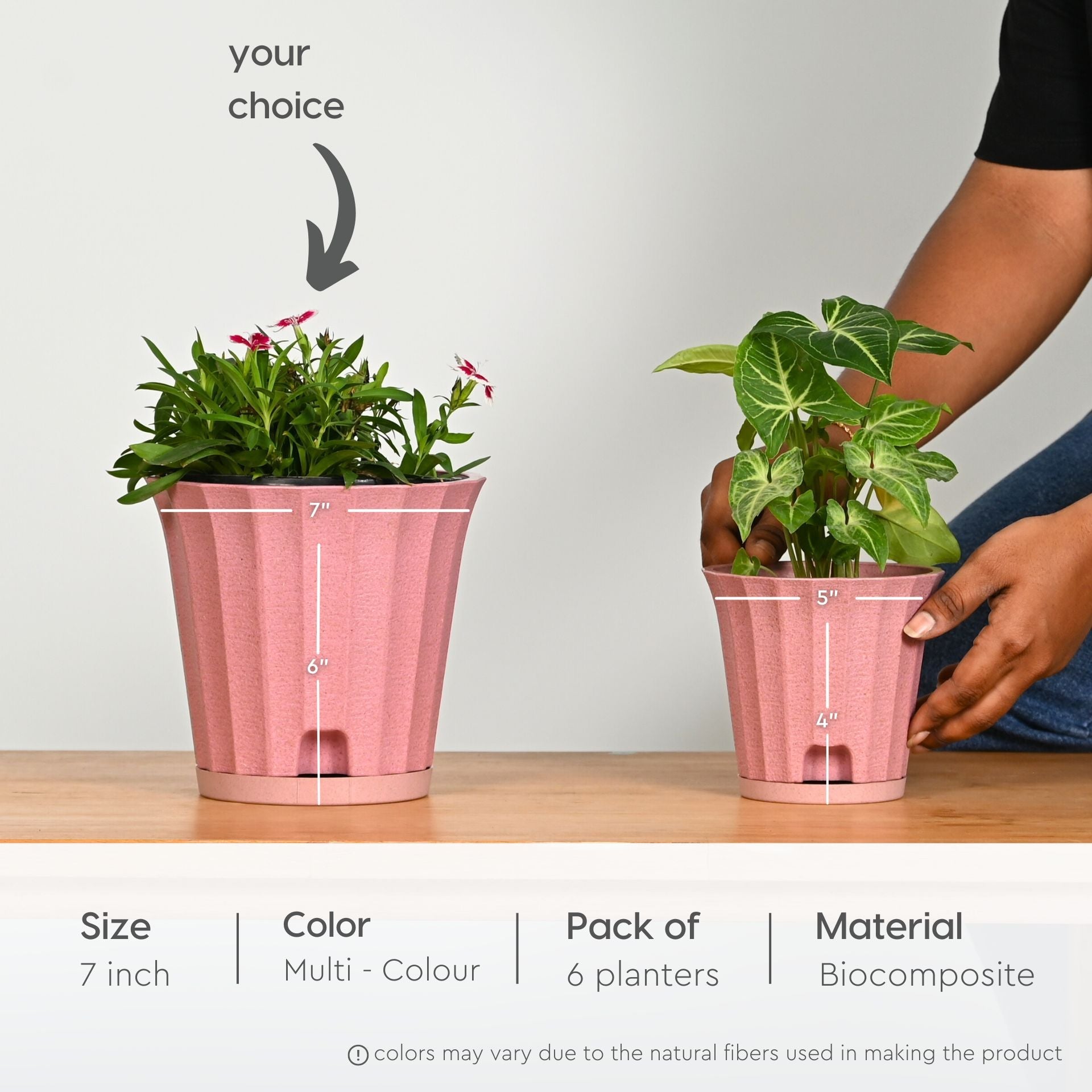 Earth Friendly Ace 7 inch image 2